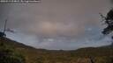 ./images/calvert/fitz-hugh-hecate/20250519/fitz-hugh-hecate20250519_204008M.jpg