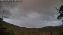 ./images/calvert/fitz-hugh-hecate/20250519/fitz-hugh-hecate20250519_204508M.jpg