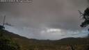 ./images/calvert/fitz-hugh-hecate/20250519/fitz-hugh-hecate20250519_205008M.jpg
