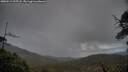 ./images/calvert/fitz-hugh-hecate/20250519/fitz-hugh-hecate20250519_205508M.jpg