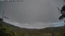 ./images/calvert/fitz-hugh-hecate/20250519/fitz-hugh-hecate20250519_210009M.jpg