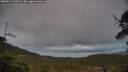 ./images/calvert/fitz-hugh-hecate/20250519/fitz-hugh-hecate20250519_210506M.jpg