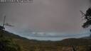 ./images/calvert/fitz-hugh-hecate/20250519/fitz-hugh-hecate20250519_211009M.jpg