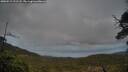 ./images/calvert/fitz-hugh-hecate/20250519/fitz-hugh-hecate20250519_211508M.jpg