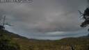 ./images/calvert/fitz-hugh-hecate/20250519/fitz-hugh-hecate20250519_212008M.jpg