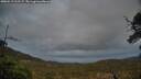 ./images/calvert/fitz-hugh-hecate/20250519/fitz-hugh-hecate20250519_212507M.jpg
