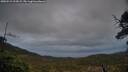 ./images/calvert/fitz-hugh-hecate/20250519/fitz-hugh-hecate20250519_213009M.jpg