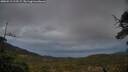 ./images/calvert/fitz-hugh-hecate/20250519/fitz-hugh-hecate20250519_213506M.jpg