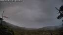 ./images/calvert/fitz-hugh-hecate/20250519/fitz-hugh-hecate20250519_214508M.jpg