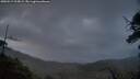 ./images/calvert/fitz-hugh-hecate/20250519/fitz-hugh-hecate20250519_215009M.jpg