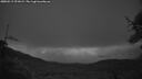 ./images/calvert/fitz-hugh-hecate/20250519/fitz-hugh-hecate20250519_221009M.jpg
