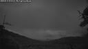 ./images/calvert/fitz-hugh-hecate/20250519/fitz-hugh-hecate20250519_221506M.jpg