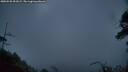 ./images/calvert/fitz-hugh-hecate/20250520/fitz-hugh-hecate20250520_051009M.jpg
