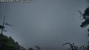 ./images/calvert/fitz-hugh-hecate/20250520/fitz-hugh-hecate20250520_054009M.jpg