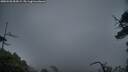./images/calvert/fitz-hugh-hecate/20250520/fitz-hugh-hecate20250520_054508M.jpg