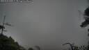 ./images/calvert/fitz-hugh-hecate/20250520/fitz-hugh-hecate20250520_055009M.jpg