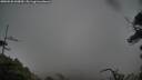 ./images/calvert/fitz-hugh-hecate/20250520/fitz-hugh-hecate20250520_060010M.jpg