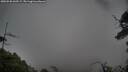 ./images/calvert/fitz-hugh-hecate/20250520/fitz-hugh-hecate20250520_060509M.jpg
