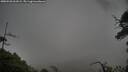 ./images/calvert/fitz-hugh-hecate/20250520/fitz-hugh-hecate20250520_061009M.jpg