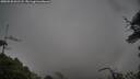 ./images/calvert/fitz-hugh-hecate/20250520/fitz-hugh-hecate20250520_061507M.jpg