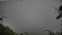 ./images/calvert/fitz-hugh-hecate/20250520/fitz-hugh-hecate20250520_063508M.jpg