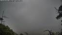 ./images/calvert/fitz-hugh-hecate/20250520/fitz-hugh-hecate20250520_064009M.jpg