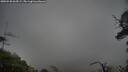 ./images/calvert/fitz-hugh-hecate/20250520/fitz-hugh-hecate20250520_064509M.jpg
