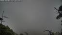 ./images/calvert/fitz-hugh-hecate/20250520/fitz-hugh-hecate20250520_070011M.jpg