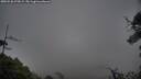 ./images/calvert/fitz-hugh-hecate/20250520/fitz-hugh-hecate20250520_072009M.jpg