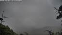 ./images/calvert/fitz-hugh-hecate/20250520/fitz-hugh-hecate20250520_072510M.jpg