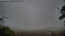 ./images/calvert/fitz-hugh-hecate/20250520/fitz-hugh-hecate20250520_073008M.jpg