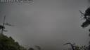 ./images/calvert/fitz-hugh-hecate/20250520/fitz-hugh-hecate20250520_073508M.jpg