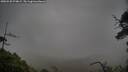 ./images/calvert/fitz-hugh-hecate/20250520/fitz-hugh-hecate20250520_074009M.jpg