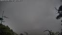 ./images/calvert/fitz-hugh-hecate/20250520/fitz-hugh-hecate20250520_074509M.jpg