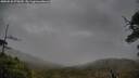 ./images/calvert/fitz-hugh-hecate/20250520/fitz-hugh-hecate20250520_075009M.jpg
