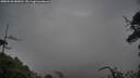 ./images/calvert/fitz-hugh-hecate/20250520/fitz-hugh-hecate20250520_080011M.jpg