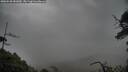 ./images/calvert/fitz-hugh-hecate/20250520/fitz-hugh-hecate20250520_081010M.jpg