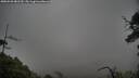 ./images/calvert/fitz-hugh-hecate/20250520/fitz-hugh-hecate20250520_081510M.jpg