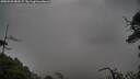 ./images/calvert/fitz-hugh-hecate/20250520/fitz-hugh-hecate20250520_082507M.jpg