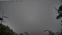 ./images/calvert/fitz-hugh-hecate/20250520/fitz-hugh-hecate20250520_083510M.jpg