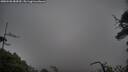 ./images/calvert/fitz-hugh-hecate/20250520/fitz-hugh-hecate20250520_084510M.jpg