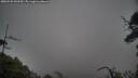./images/calvert/fitz-hugh-hecate/20250520/fitz-hugh-hecate20250520_090510M.jpg