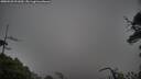 ./images/calvert/fitz-hugh-hecate/20250520/fitz-hugh-hecate20250520_091010M.jpg