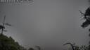 ./images/calvert/fitz-hugh-hecate/20250520/fitz-hugh-hecate20250520_091510M.jpg