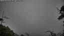 ./images/calvert/fitz-hugh-hecate/20250520/fitz-hugh-hecate20250520_092510M.jpg