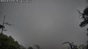 ./images/calvert/fitz-hugh-hecate/20250520/fitz-hugh-hecate20250520_093509M.jpg