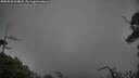 ./images/calvert/fitz-hugh-hecate/20250520/fitz-hugh-hecate20250520_094008M.jpg