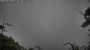 ./images/calvert/fitz-hugh-hecate/20250520/fitz-hugh-hecate20250520_094509M.jpg