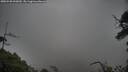 ./images/calvert/fitz-hugh-hecate/20250520/fitz-hugh-hecate20250520_095009M.jpg