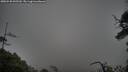 ./images/calvert/fitz-hugh-hecate/20250520/fitz-hugh-hecate20250520_095509M.jpg